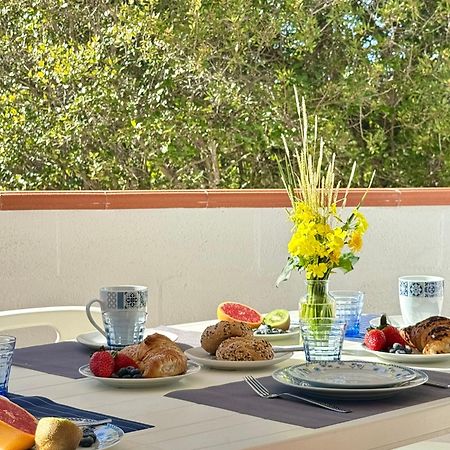 Garden Retreat - Homey Experience Olbia Zewnętrze zdjęcie